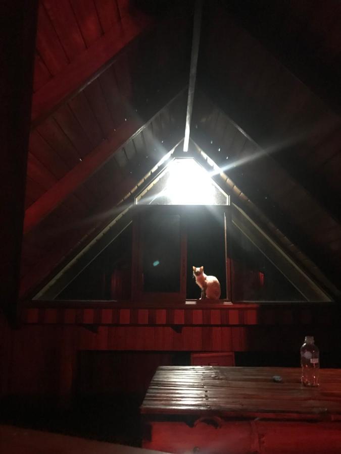 The Roadhouse Bed and Breakfast Tena Buitenkant foto
